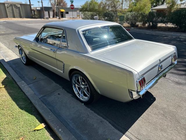 used 1965 Ford Mustang car