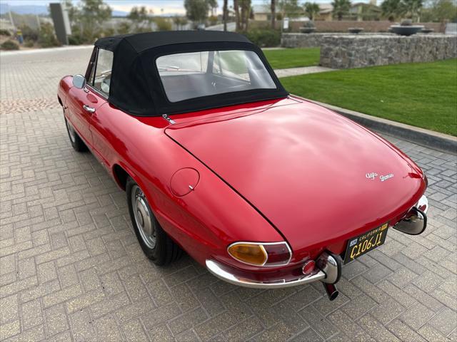 used 1967 Alfa Romeo Spider car, priced at $37,900