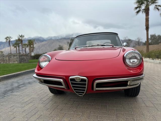 used 1967 Alfa Romeo Spider car, priced at $37,900