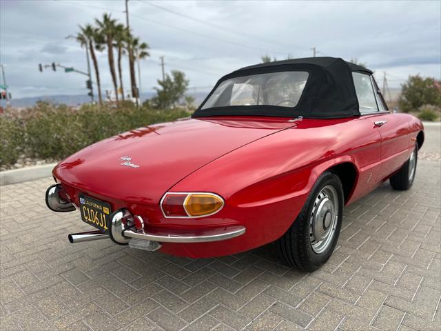 used 1967 Alfa Romeo Spider car, priced at $37,900
