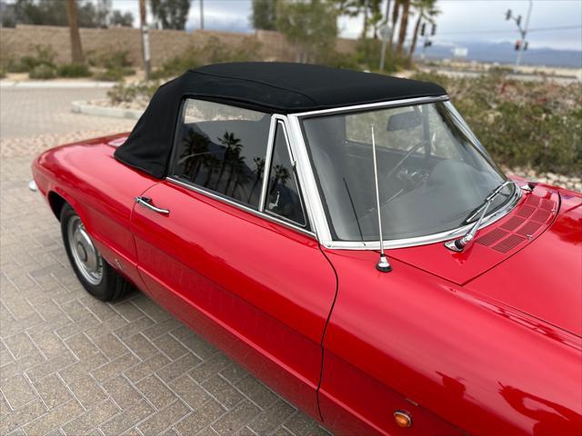 used 1967 Alfa Romeo Spider car, priced at $37,900