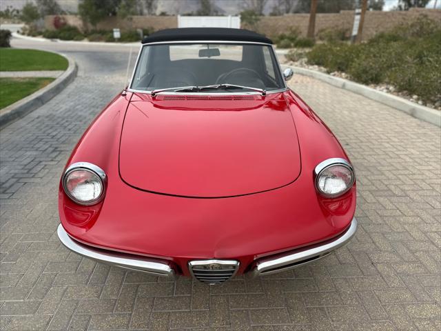 used 1967 Alfa Romeo Spider car, priced at $37,900