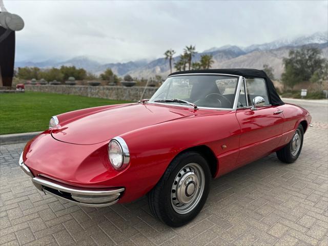 used 1967 Alfa Romeo Spider car, priced at $37,900