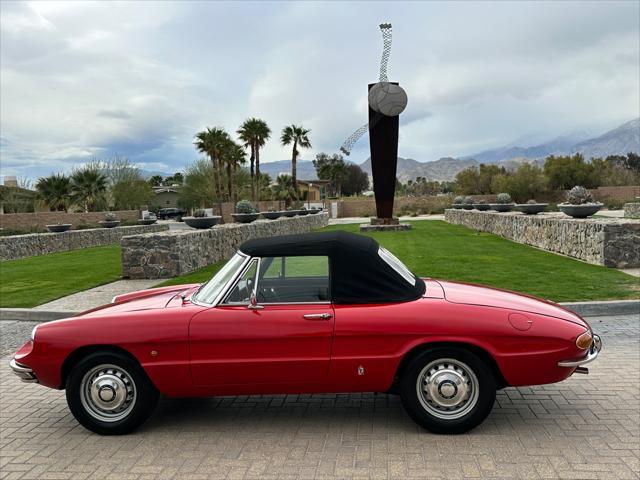 used 1967 Alfa Romeo Spider car, priced at $37,900