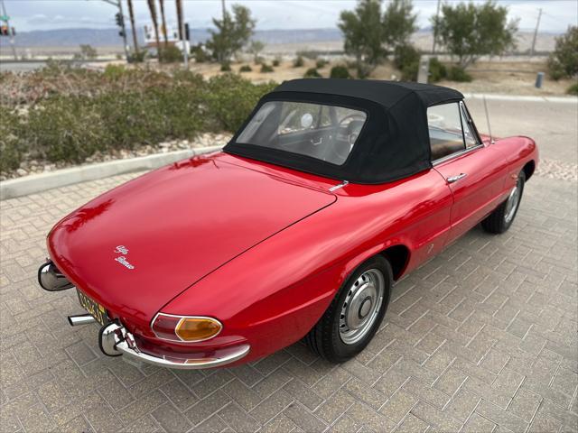 used 1967 Alfa Romeo Spider car, priced at $37,900