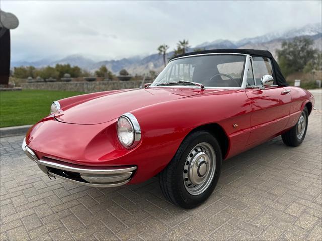 used 1967 Alfa Romeo Spider car, priced at $37,900