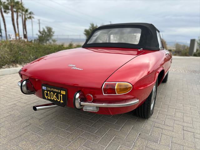 used 1967 Alfa Romeo Spider car, priced at $37,900