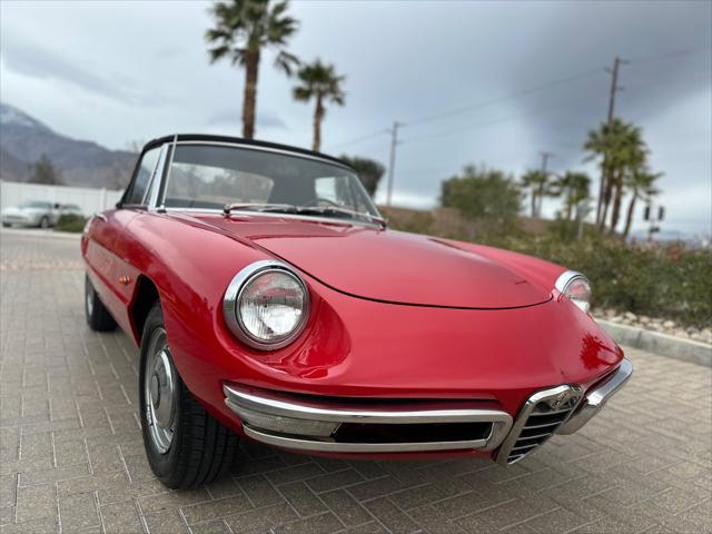 used 1967 Alfa Romeo Spider car, priced at $37,900