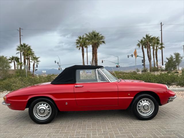 used 1967 Alfa Romeo Spider car, priced at $37,900