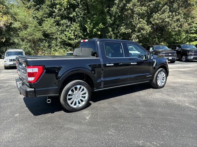 used 2023 Ford F-150 car, priced at $64,888