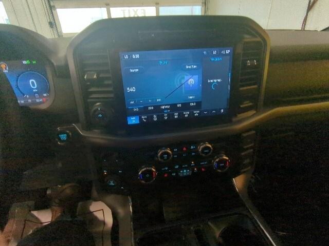 new 2025 Ford F-150 car