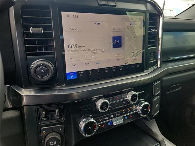 new 2025 Ford F-250 car, priced at $93,420