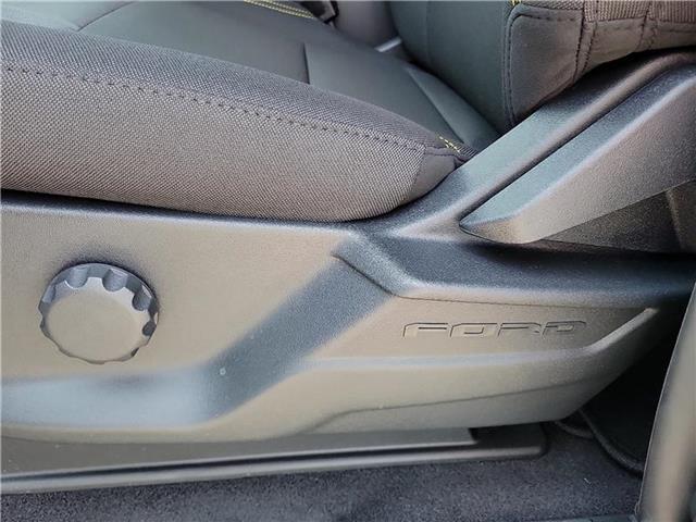 new 2025 Ford F-150 car, priced at $52,530