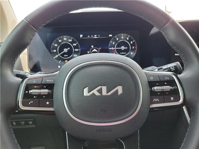 used 2024 Kia Carnival car, priced at $45,125