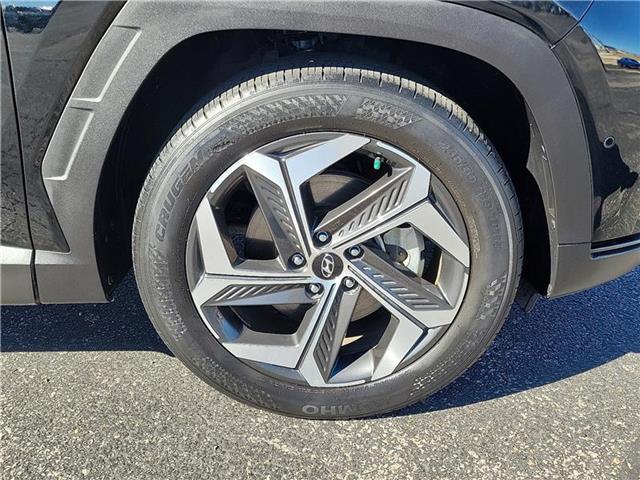 used 2023 Hyundai Tucson car, priced at $28,475