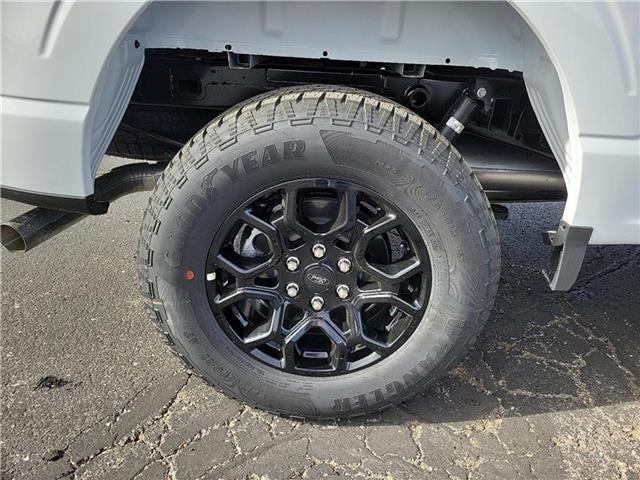 new 2025 Ford F-150 car, priced at $67,020