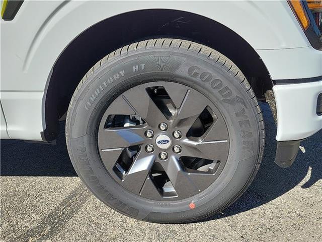 new 2025 Ford F-150 car, priced at $49,205