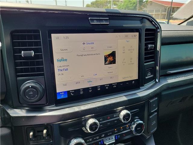 new 2025 Ford F-250 car, priced at $97,590