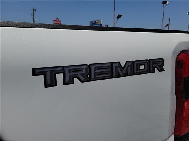 new 2025 Ford F-250 car, priced at $97,590