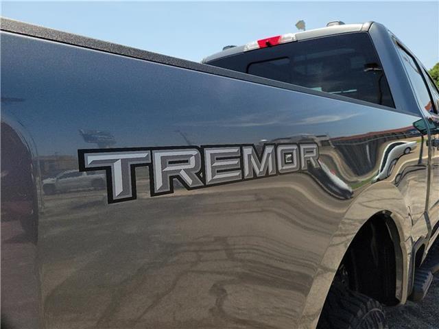 new 2025 Ford F-250 car, priced at $96,595