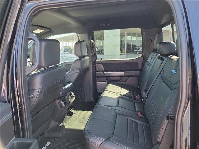 new 2025 Ford F-150 car, priced at $81,800