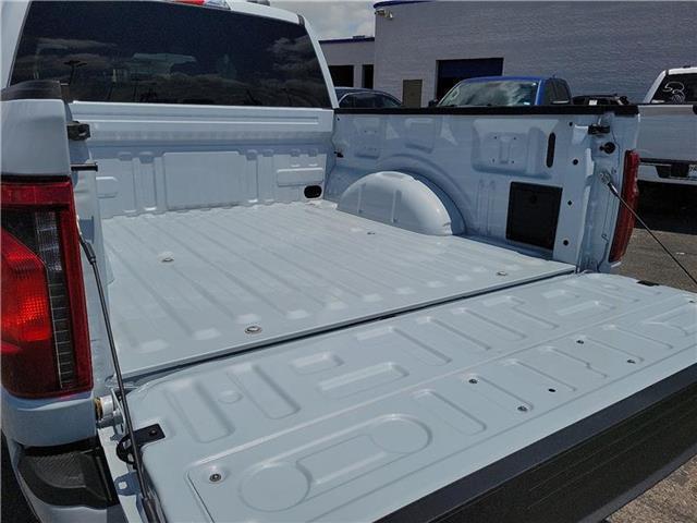 new 2025 Ford F-150 car, priced at $54,080