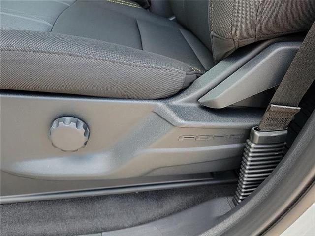 new 2025 Ford F-150 car, priced at $54,080
