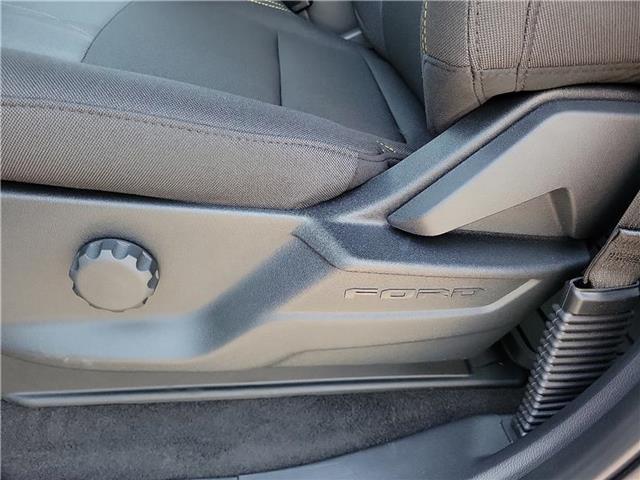 new 2025 Ford F-150 car, priced at $54,080