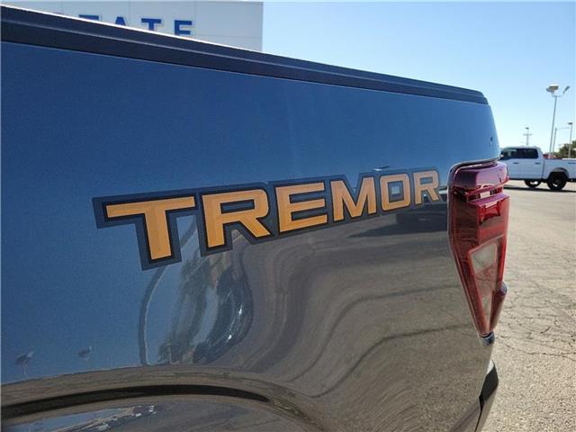 new 2025 Ford F-150 car, priced at $82,665