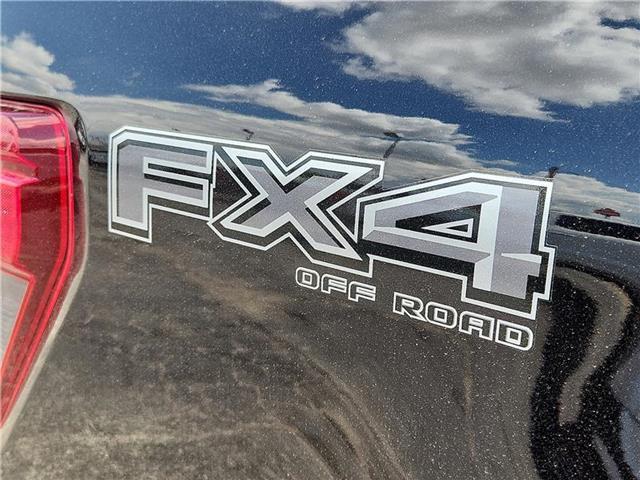 new 2025 Ford F-150 car, priced at $56,530