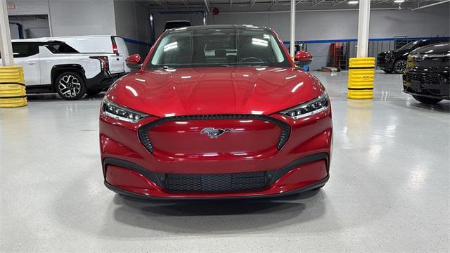 used 2021 Ford Mustang Mach-E car, priced at $23,385