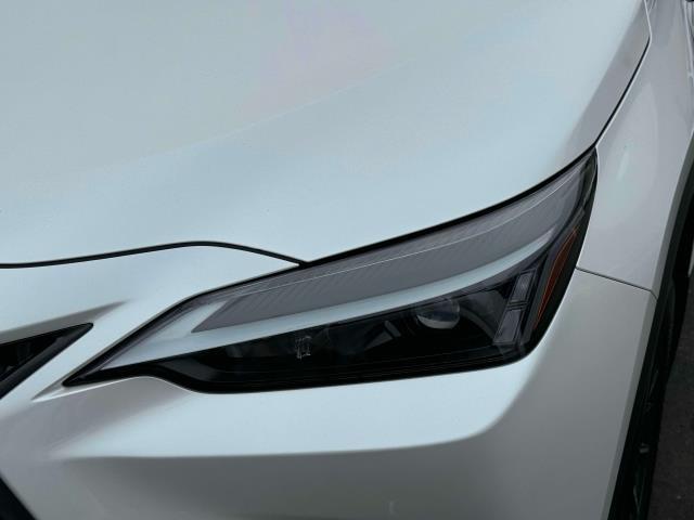 used 2024 Lexus NX 350 car, priced at $42,500