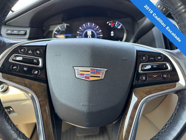 used 2019 Cadillac Escalade car, priced at $32,000