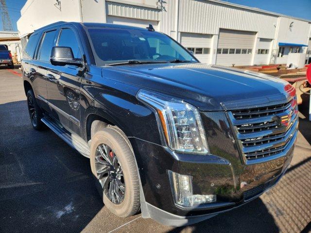 used 2019 Cadillac Escalade car, priced at $32,481