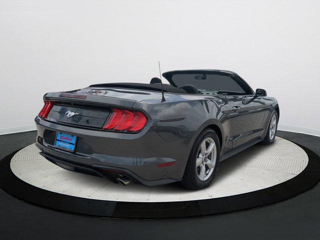 used 2019 Ford Mustang car, priced at $21,000