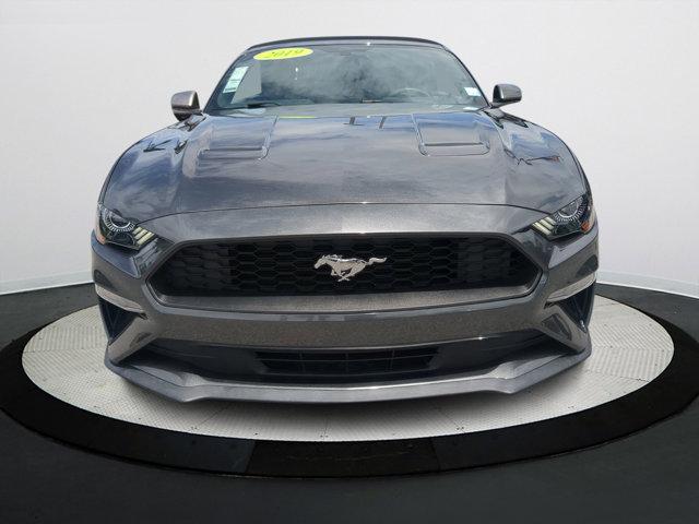 used 2019 Ford Mustang car, priced at $21,000