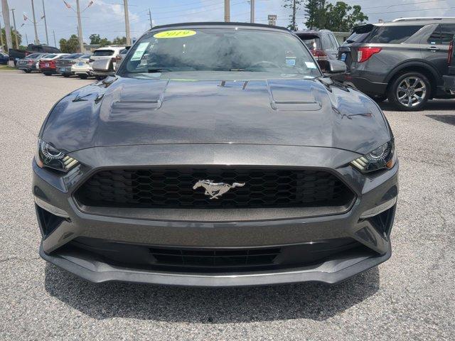 used 2019 Ford Mustang car, priced at $21,000