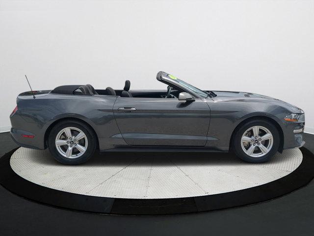 used 2019 Ford Mustang car, priced at $21,000