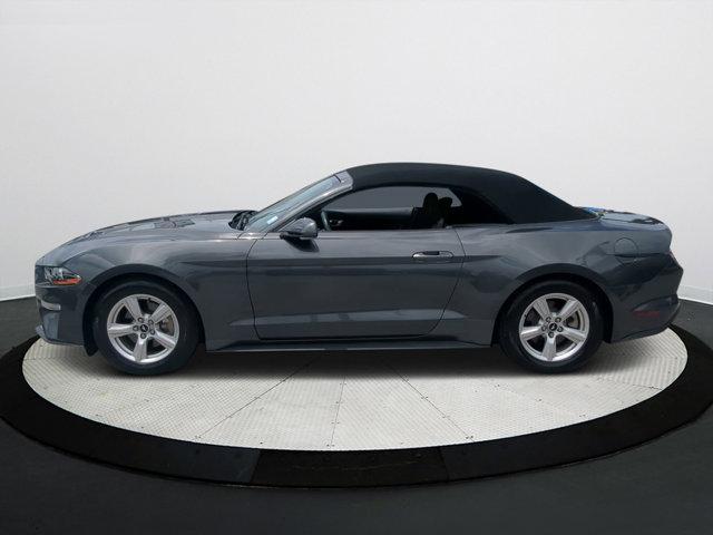 used 2019 Ford Mustang car, priced at $21,000