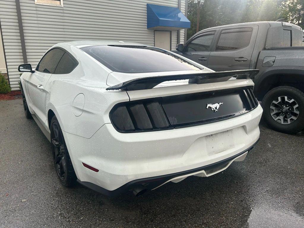 used 2017 Ford Mustang car