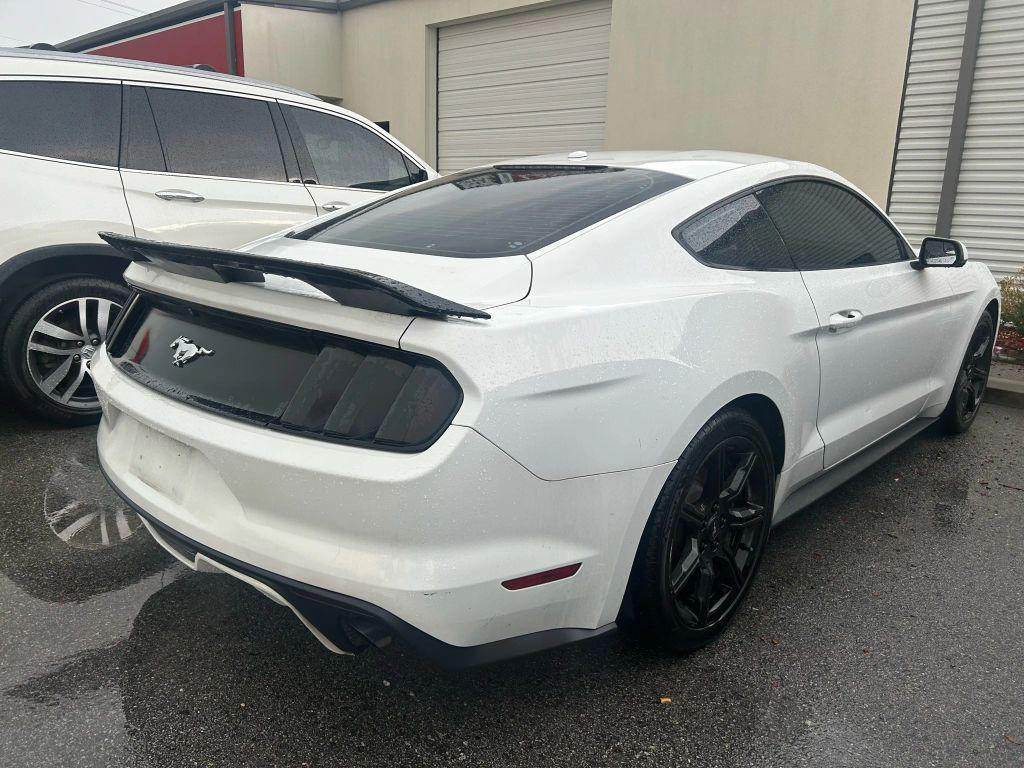 used 2017 Ford Mustang car
