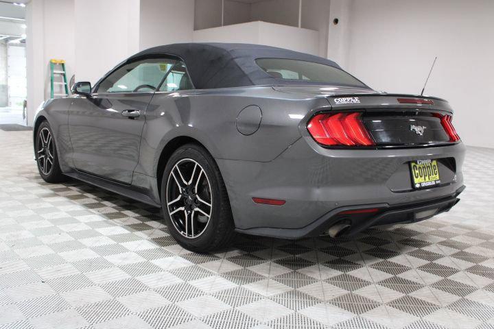 used 2019 Ford Mustang car, priced at $18,895
