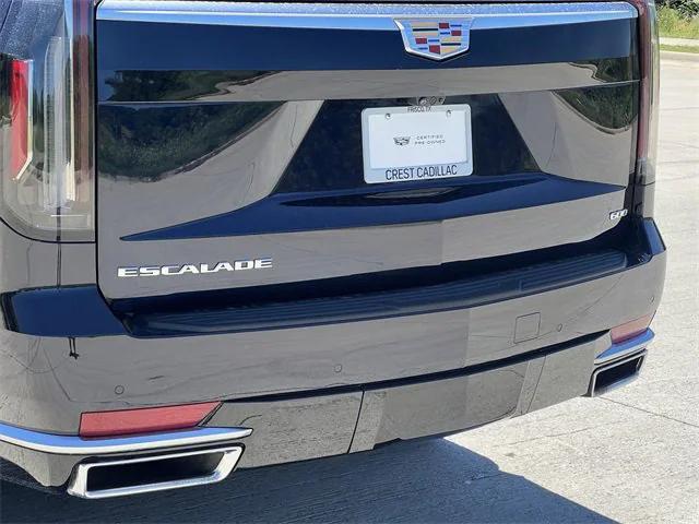 used 2024 Cadillac Escalade car