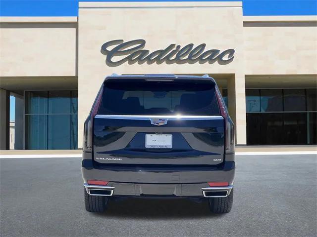 used 2024 Cadillac Escalade car