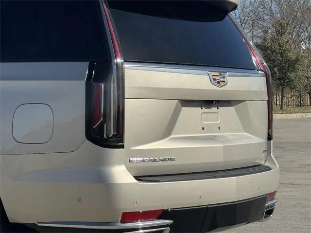 used 2023 Cadillac Escalade car