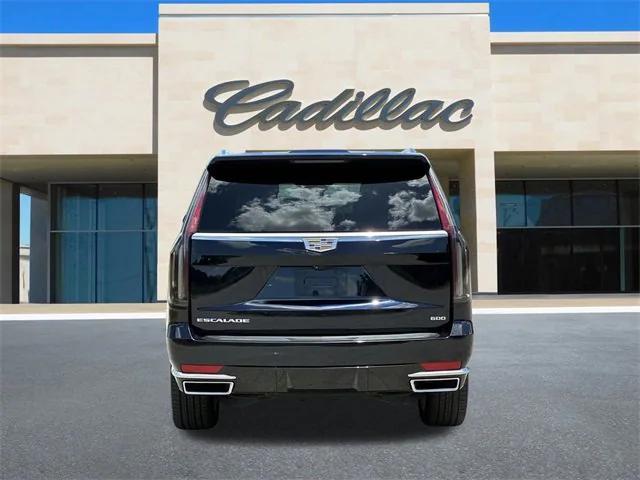 used 2022 Cadillac Escalade car