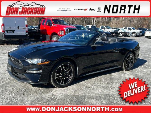 used 2022 Ford Mustang car, priced at $19,995