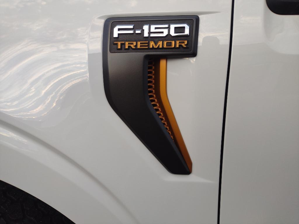 new 2025 Ford F-150 car