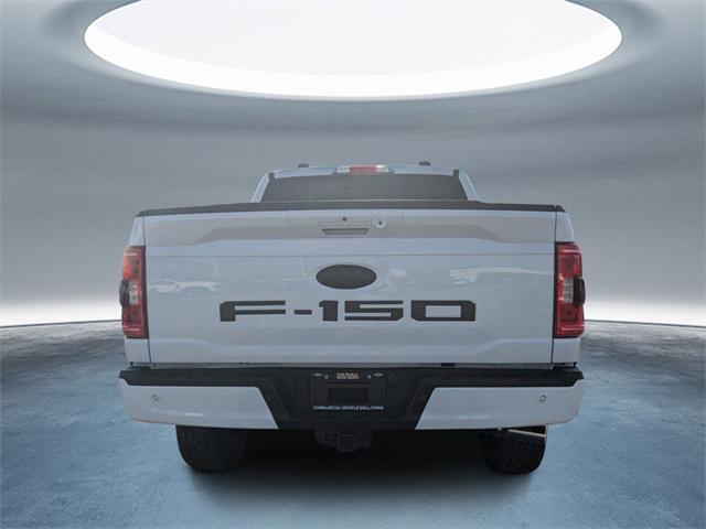 used 2023 Ford F-150 car