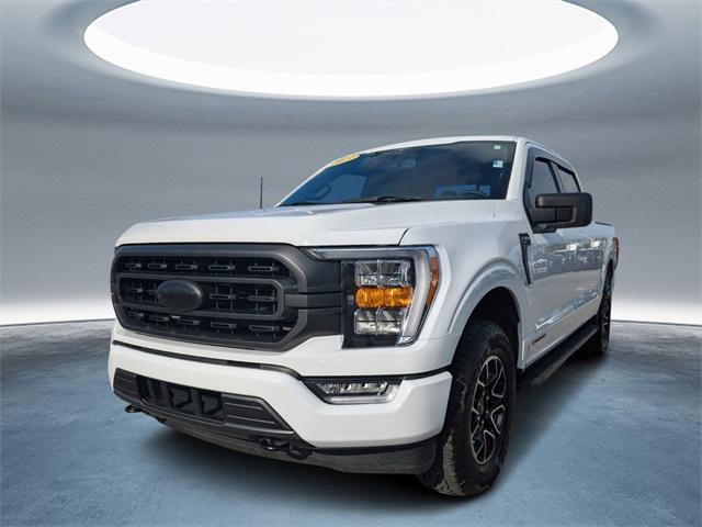 used 2023 Ford F-150 car